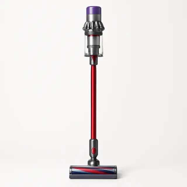 Dyson V11